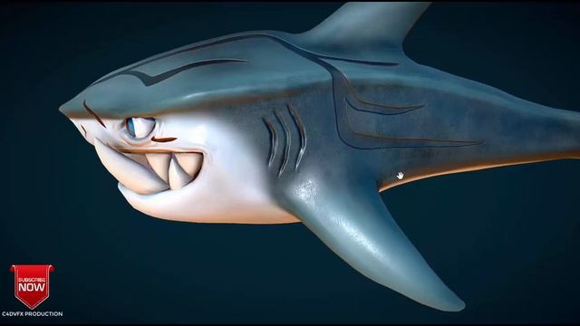 Cartoon Shark Model 3D смотреть онлайн