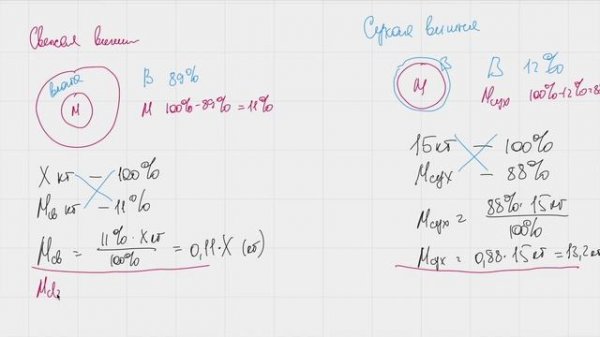 проценты влаги во фруктах