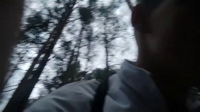 Идём в лес по грибы ЧЕЛЕНЖ 24 Часа В ЛЕСУ смотреть онлайн