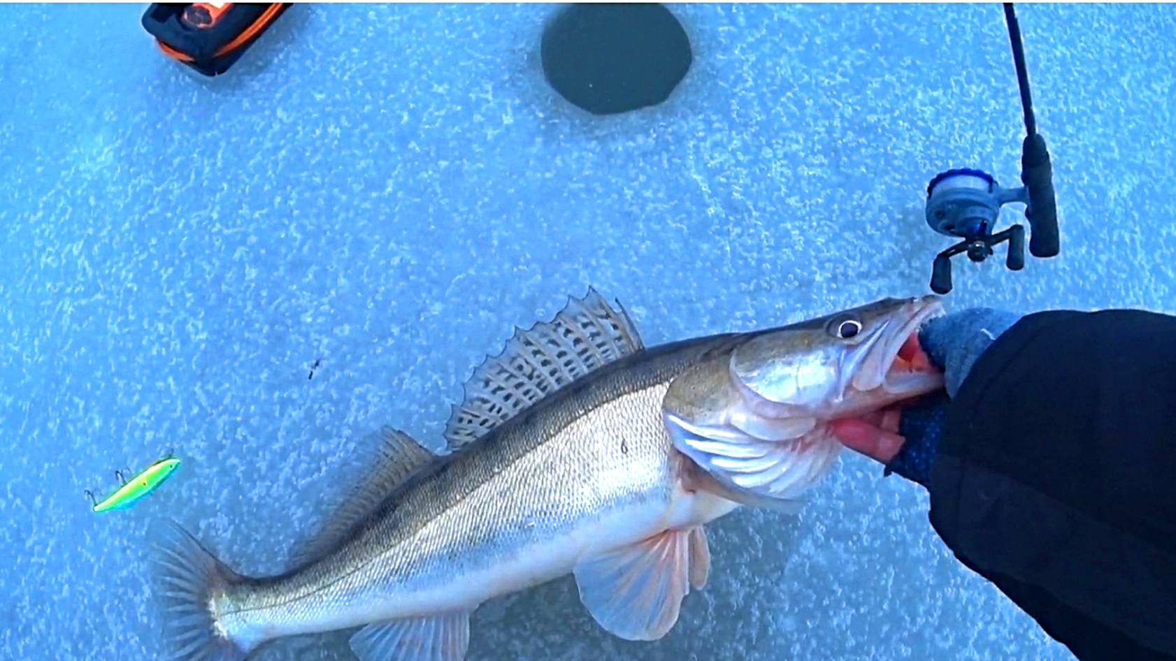 Ловля СУДАКА по лещу и ЛЕЩА по судаку! Рыбалка на Оке! Зимняя рыбалка! смотреть онлайн