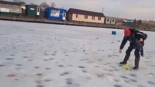 31-01-2025 смотреть онлайн