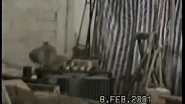 "ТПА начало" 2000-2001г. 1-часть смотреть онлайн