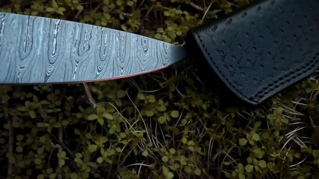 Chef knife Custom Made | Kitchen Knife | USA Made | Black Mamba Knives смотреть онлайн