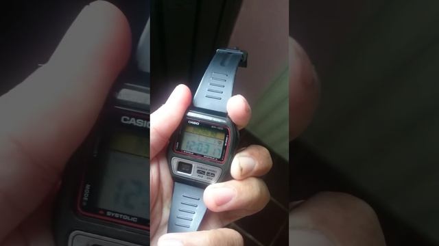Casio Bp120