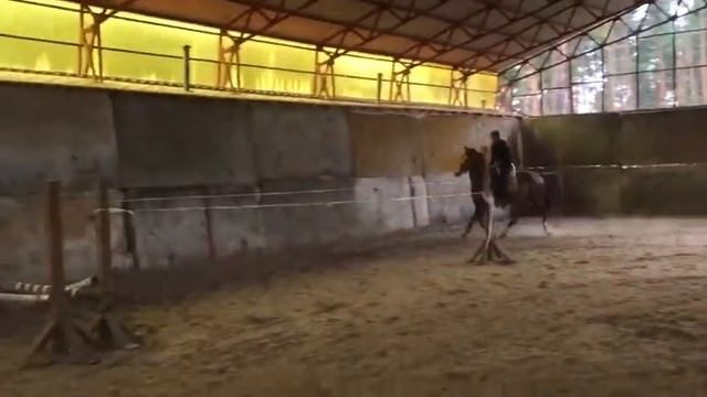 006 смотреть онлайн
