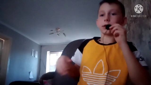 Интересные факты про пираний смотреть онлайн