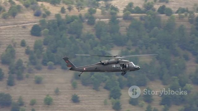 Трагедия в небе: столкновение Black Hawk и пассажирского самолета