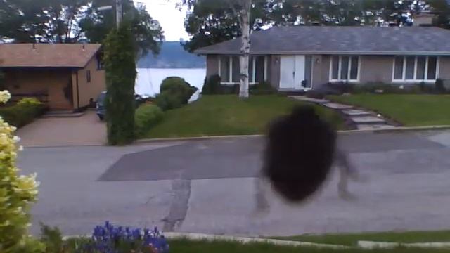 bibitte chez MER смотреть онлайн