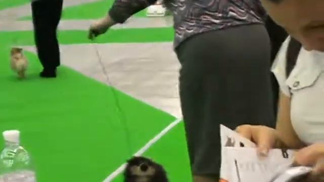 хрусталь видео 2011 005 смотреть онлайн