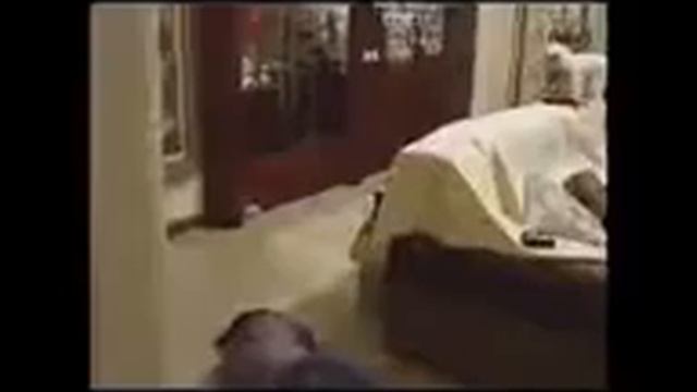 Реальные приколы про животных! СВЕЖАК!!! смотреть онлайн