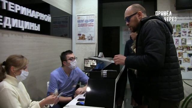 ПОМОГЛИ СПАСТИ ЛУЧШЕГО ДРУГА ЧЕЛОВЕКА. ТЯЖЕЛАЯ ЖИЗНЬ МАЛЕНЬКОГО ВАНГА смотреть онлайн