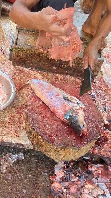 Amazing! Very Delightful Village Best Pangas Fish Cutting Skills 😱😳 #shorts смотреть онлайн