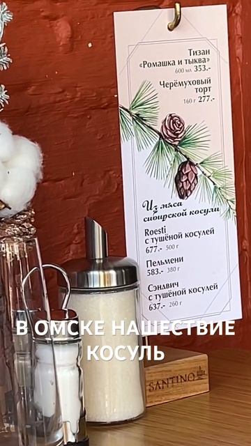 Омичи, видели косуль? #омск смотреть онлайн