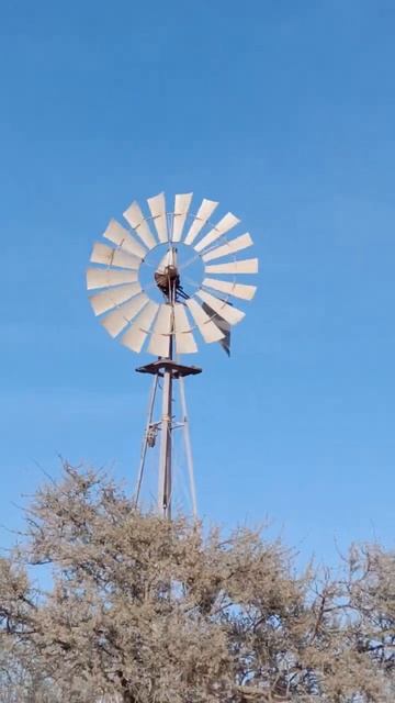 CUANDO EL VIENTO CUMPLE EN EL DESIERTO. смотреть онлайн
