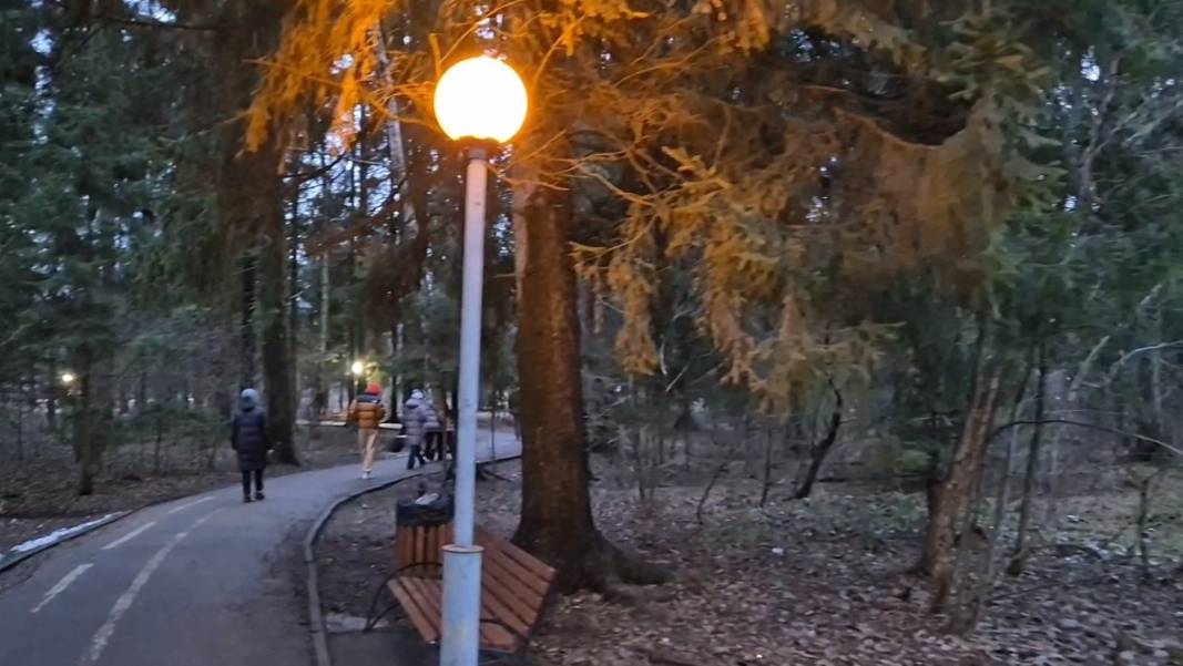 Странный январь Грибы пошли.Купили куртки Пробуем рыбу из Чижика смотреть онлайн