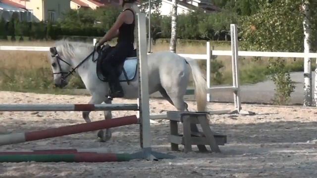 fancu video 28 смотреть онлайн