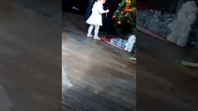 Танец с зайцем смотреть онлайн