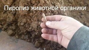 Пиролиз животной органики.