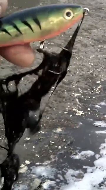 #Shorts Находка на Волге -воблер. смотреть онлайн