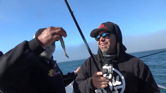 San Francisco Bay Swimbait Fishing -Big Halibut/Ling Cod- смотреть онлайн