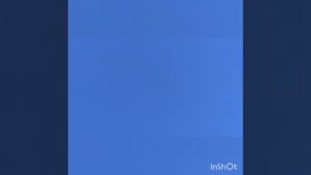 Бакинские голуби #бакинскиеголуби#Bakigoyercinleri смотреть онлайн