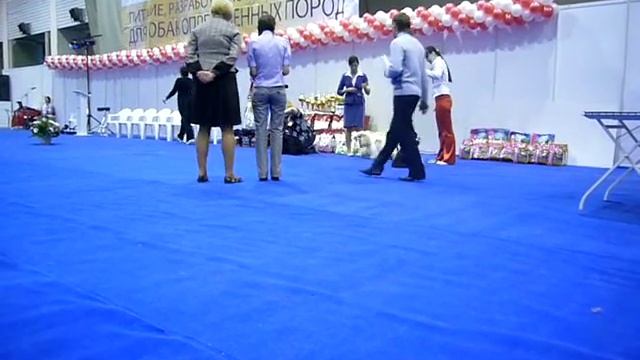 Сравнение на ЛПП смотреть онлайн