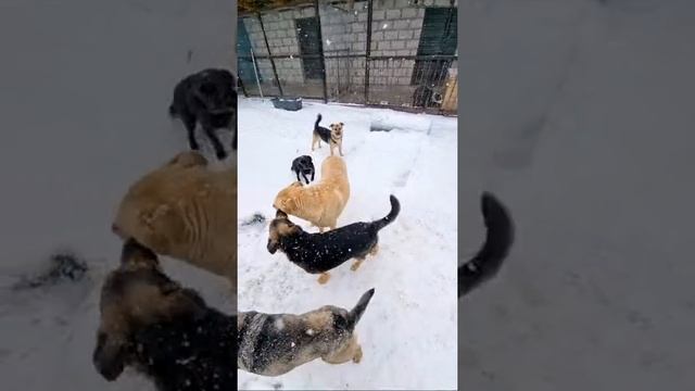 У ВАС ТОЖЕ ЗИМА? смотреть онлайн