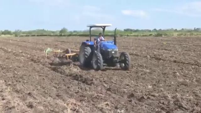 Convocan autoridades en Laguna Blanca a incrementar la siembra transformar la comunidad смотреть онлайн