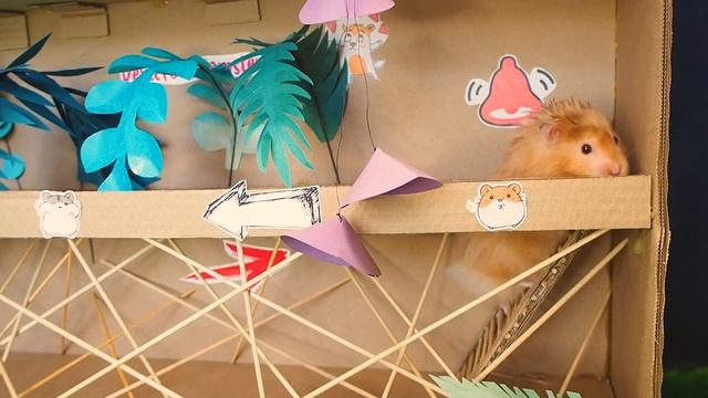 Огромный Лабиринт для Хомяка 🐹 смотреть онлайн