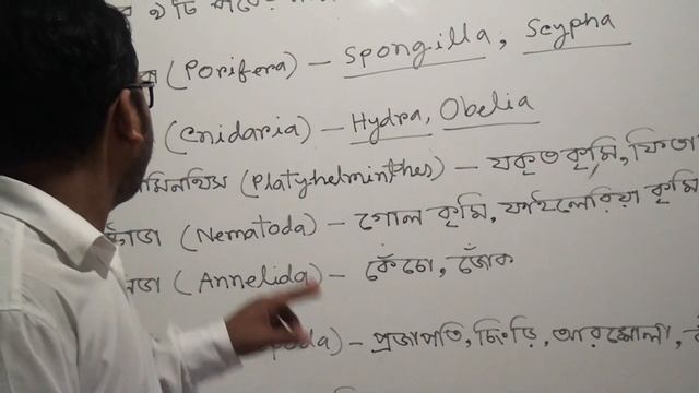 প্রাণী জগতের শ্রেণি বিন্যাস (পর্ব-০১) । অধ্যায়: ১ম। বিষয়: সাধারণ বিজ্ঞান। শ্রেণি: ৮ম। смотреть онлайн