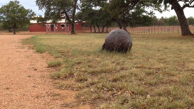 HARKEY RANCH DUNG BEETLE смотреть онлайн