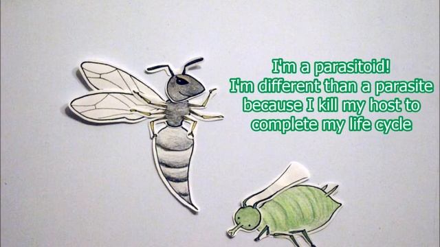 The Parasitoid and the Mummy (Stop motion) смотреть онлайн