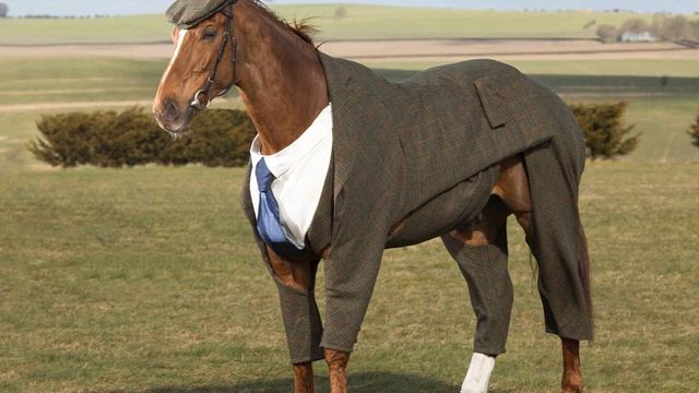 Progfox - Intro/No Cock Like Horse Cock V2 (pepper Coyote Cover)