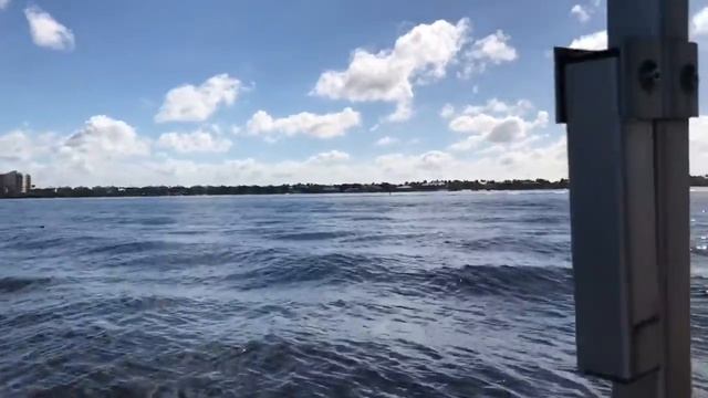 Life is Easy | Cape Coral Promo | Pue Qaso смотреть онлайн