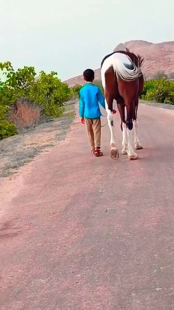 Best~ watsapp✓ status [@GOLURUNNER ]#rajahorse #horselover ##short #ghoda #viral #ghodadance смотреть онлайн