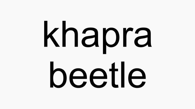 How to pronounce khapra beetle смотреть онлайн