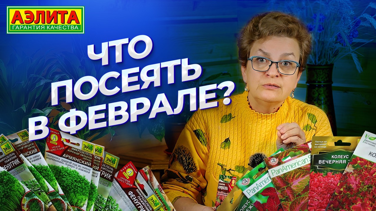 ЧТО ПОСЕЯТЬ В ФЕВРАЛЕ? Новинки семян 2025 от Агрофирмы Аэлита! смотреть онлайн