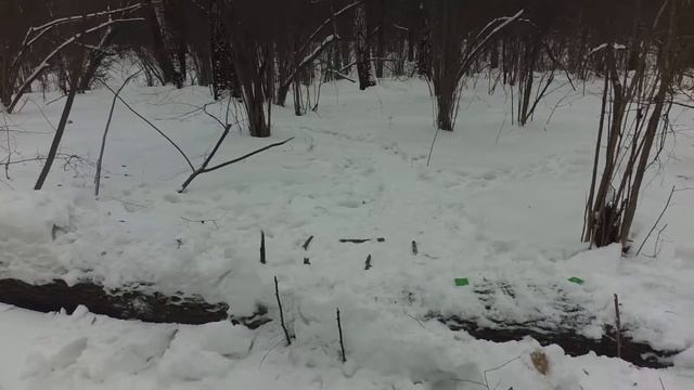 Бревно в лесу на снегу смотреть онлайн