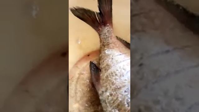 вкусная рыба ) смотреть онлайн