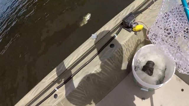 Fishing Livebait THIS WAY Makes Catching Fish Easy! смотреть онлайн