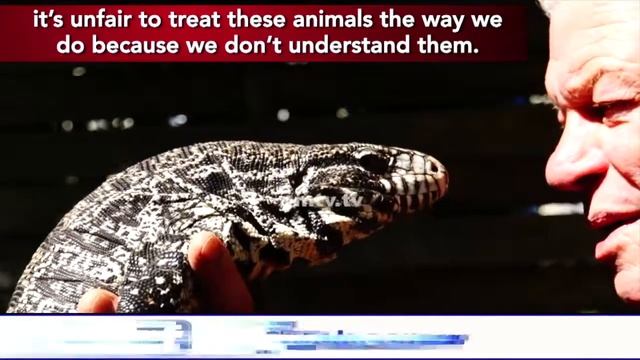Philippe Gillet the reptile man lives with 400 reptiles in France смотреть онлайн