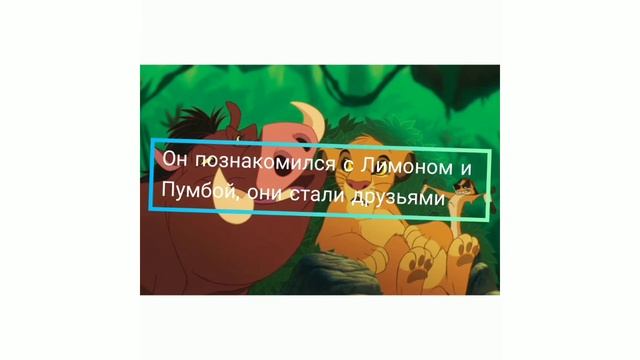 История Симбы (коротко) 1 часть смотреть онлайн