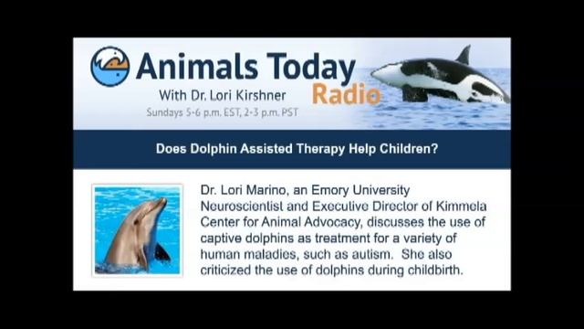 Does Dolphin Assisted Therapy Help Children? смотреть онлайн