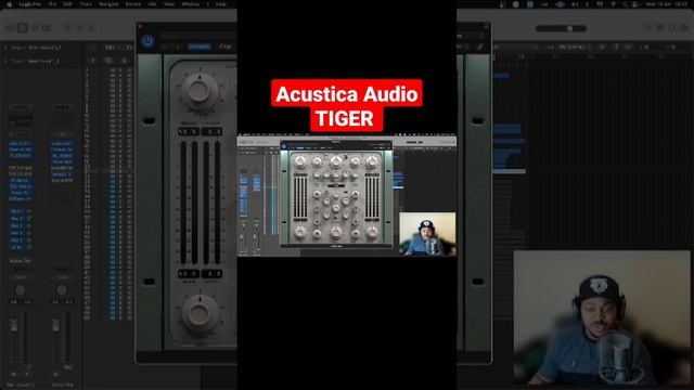 Acustica Audio - TIGER (Compressor Bank) #shorts #acusticaaudio #tiger #zanypro смотреть онлайн