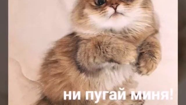 Смех кому-то грех смотреть онлайн