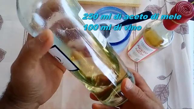 SOLUZIONE ATTRATTIVA PER MOSCERINO DEI PICCOLI FRUTTI смотреть онлайн