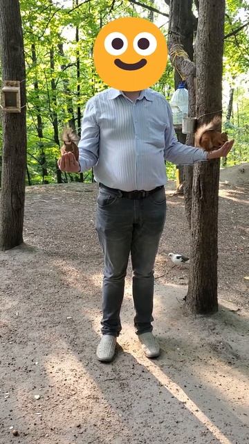 Кормим белочек 🐿️🐿️ в Нескучном саду (Парк Горького, Москва) | Feeding squirrels in Moscow | # 149 смотреть онлайн