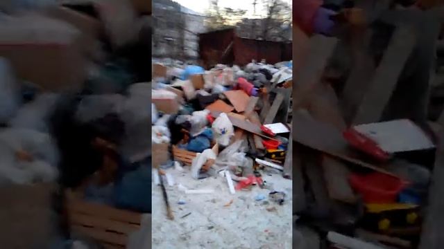 Орел, помойка рядом с перинатальным центром смотреть онлайн