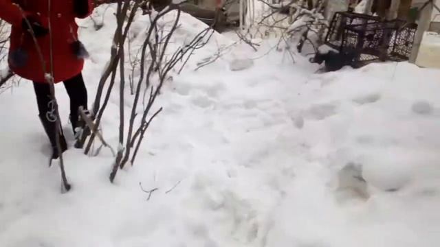 Капка смотреть онлайн