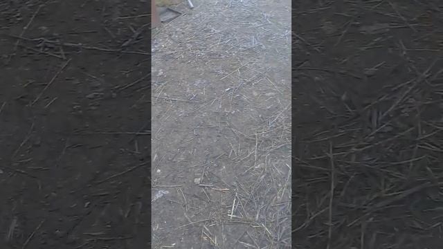 Беня успокоился,но я стала его бояться. смотреть онлайн